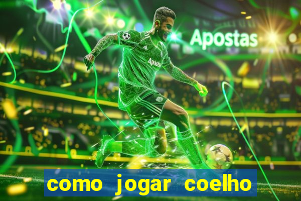 como jogar coelho da fortuna